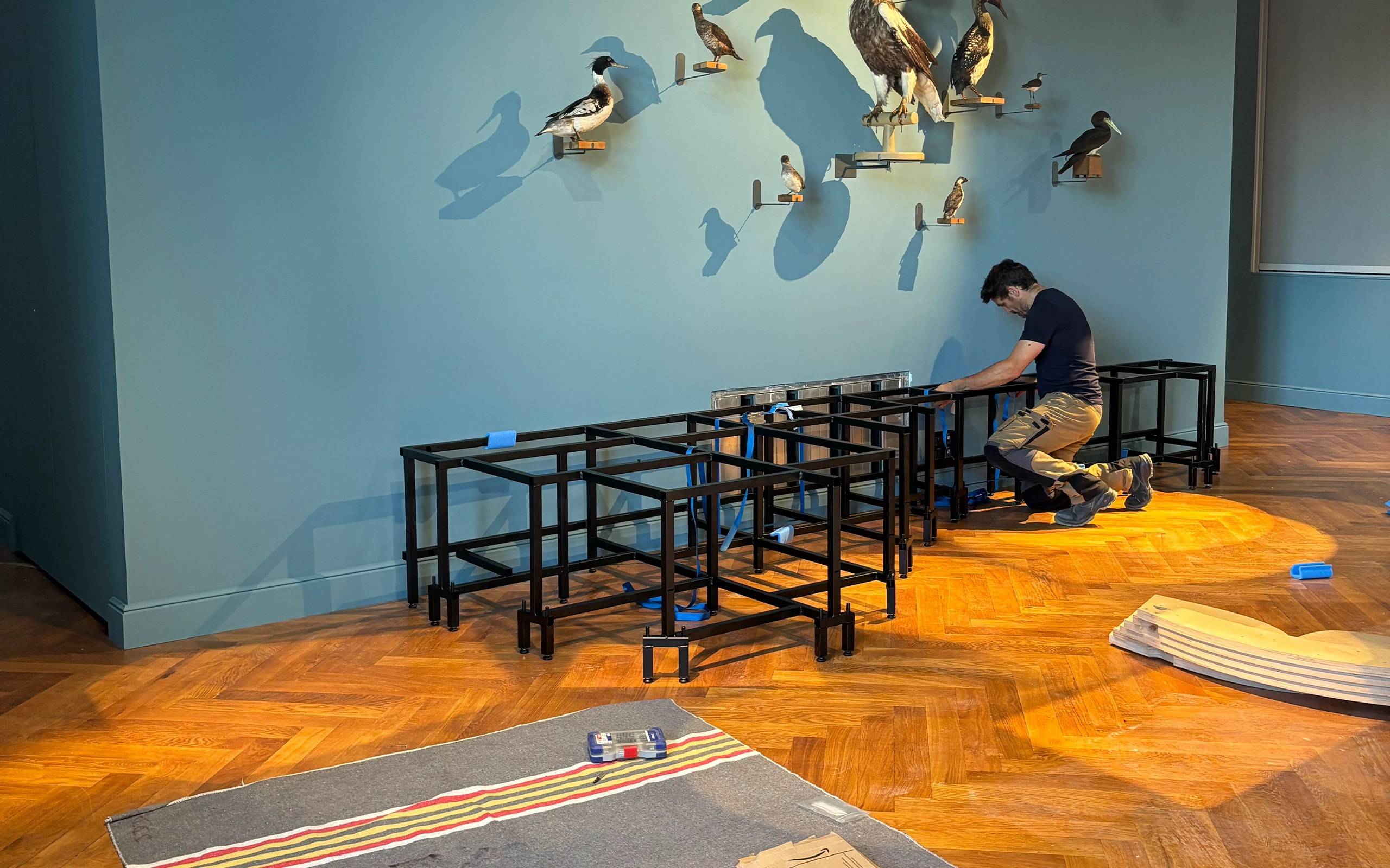 Table d’Exposition en Contreplaqué Bouleau pour le Musée de Zoologie de Strasbourg