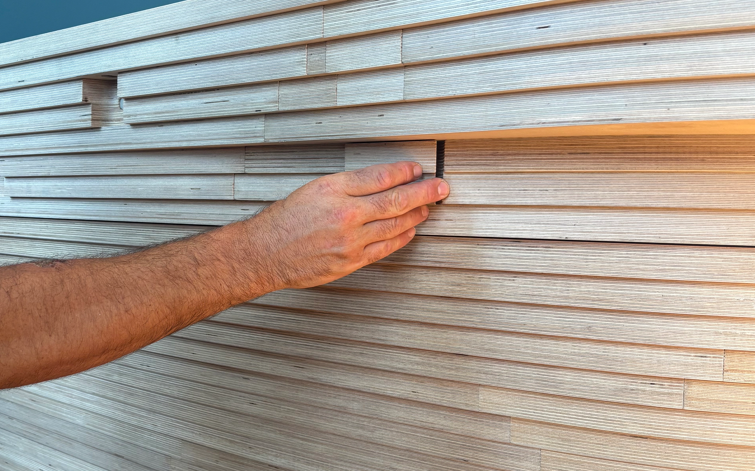 Table d’Exposition en Contreplaqué Bouleau pour le Musée de Zoologie de Strasbourg
