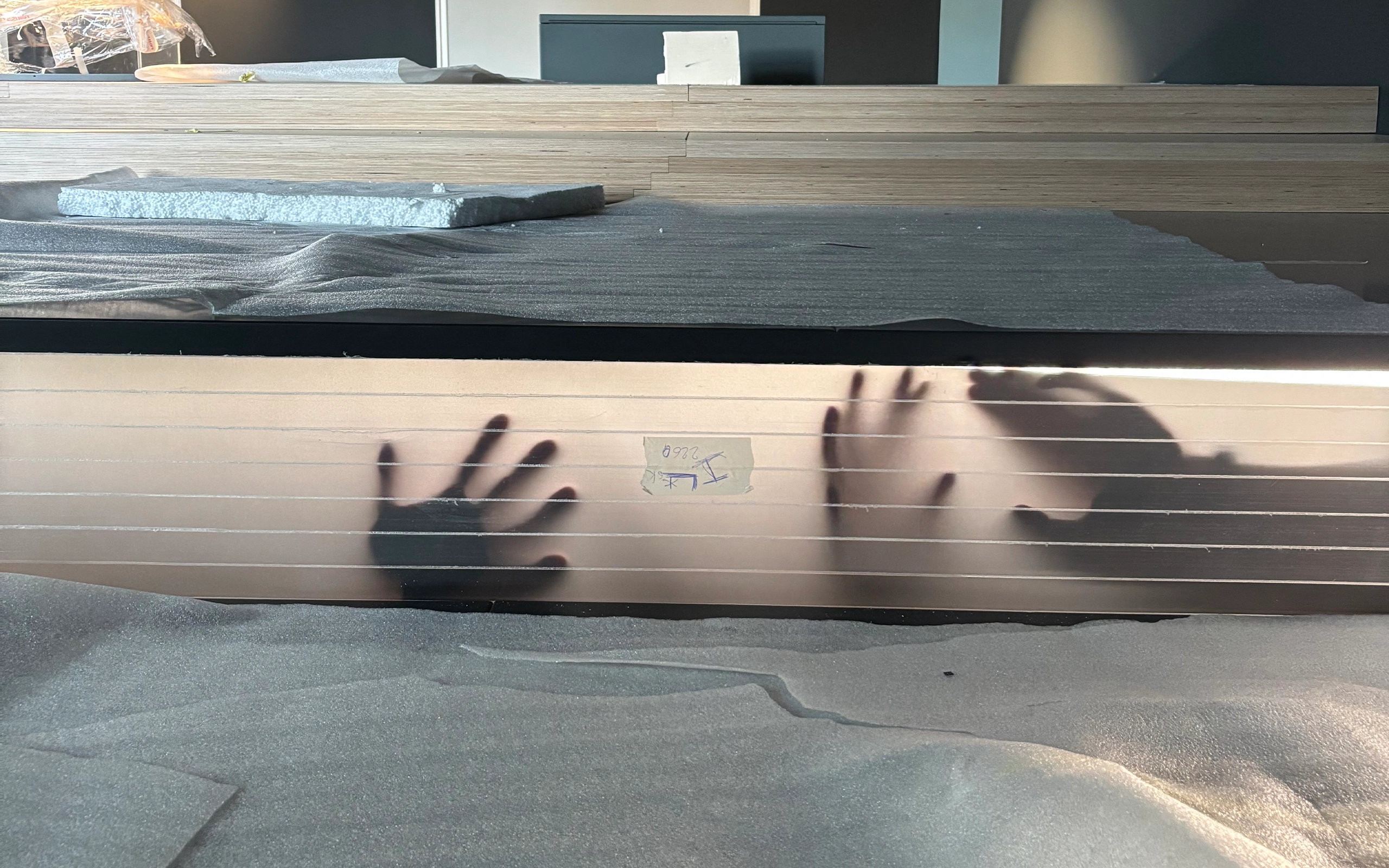 Table d'exposition pour le Musée de Zoologie